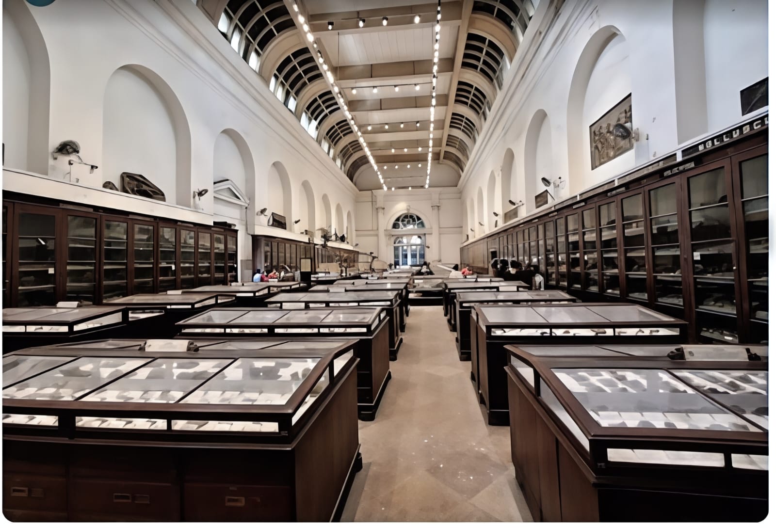 Museum gallery visit in Kolkata