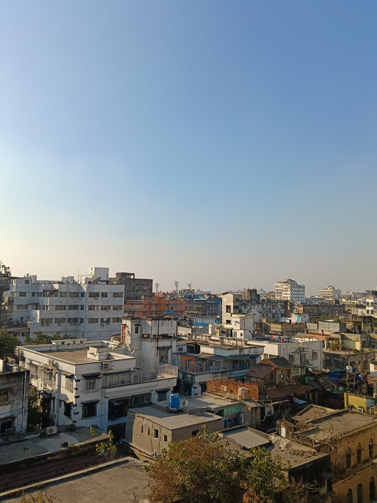 Terrace at Saba Guest House Kolkata photo 10